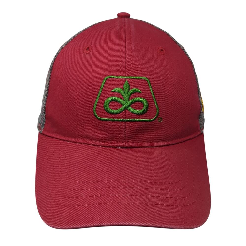 Dupont Pioneers State Strapback Trucker Hat Multi One Size Adjustable Mesh Back